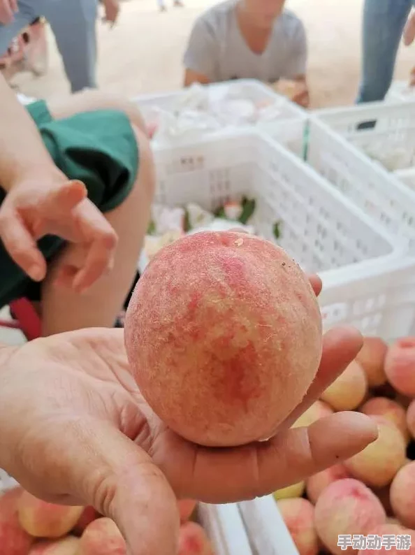 水蜜桃21987：最新动态显示该品种在市场上受到热烈欢迎，销售量持续攀升，预计将引发更广泛的消费热潮