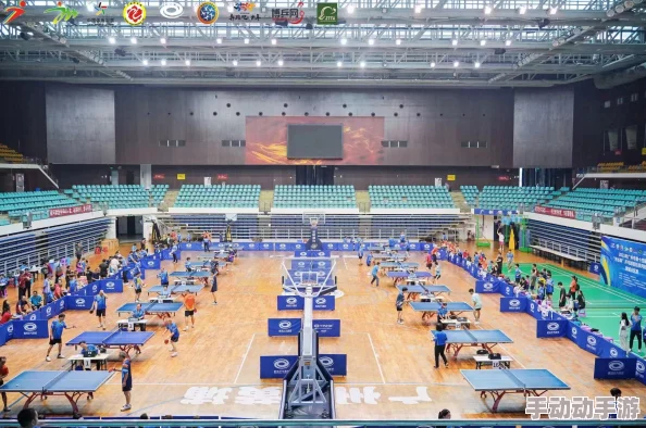 荷兰姓交大大赛最新赛事结果：各参赛队伍表现出色，激烈竞争中涌现新星，精彩瞬间不断