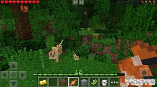 我的世界指令清单:全面探索游戏内各类实用指令有哪些 我的世界指令清单:全面探索游戏内各类实用指令有哪些