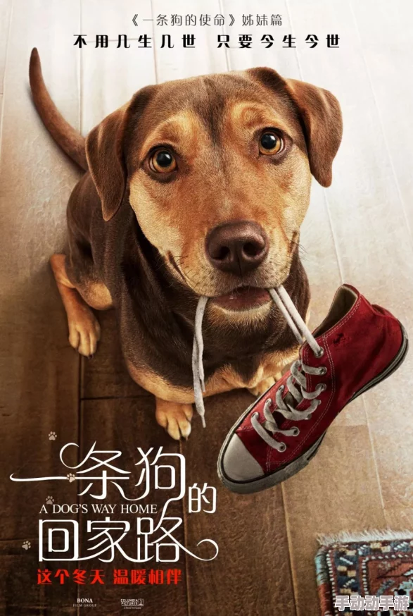 召唤魅魔结果的哺乳动物喂养樱花，意外引发全城萌宠热潮，市民纷纷抢购！