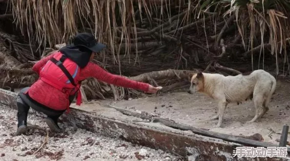 荒岛求生指南：如何在极端环境下正确喂养宠物狗的全攻略