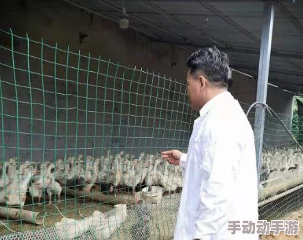人马畜禽company免费澎湃号：最新动态发布，助力养殖业发展，提供更多实用信息与资源分享