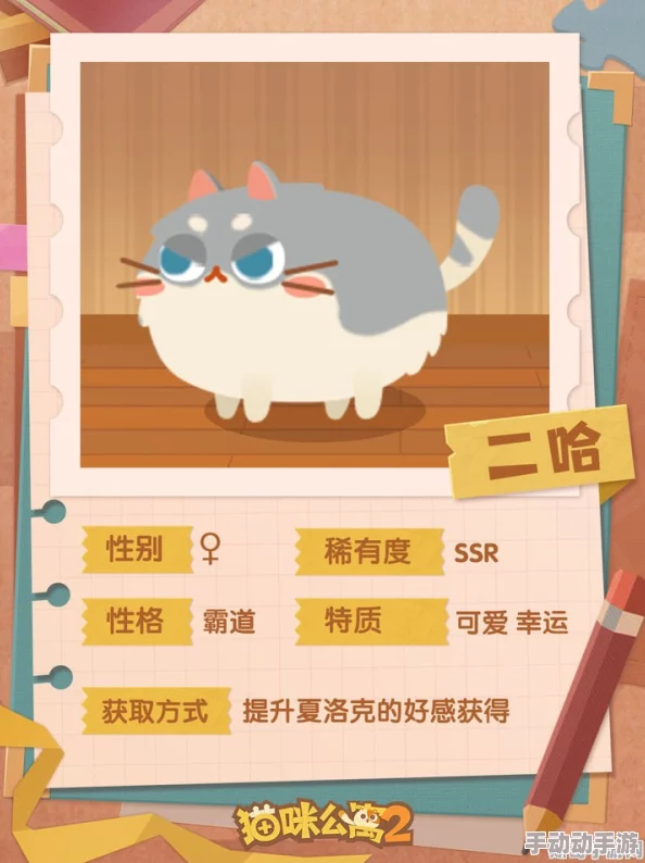 猫咪公寓2：全面攻略艾莉莉解谜谈心任务，轻松掌握技巧与心得