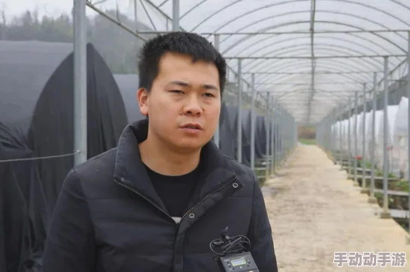 荷花资源网重磅上线，海量资源免费共享，助力学习与创作的全新平台震撼来袭！