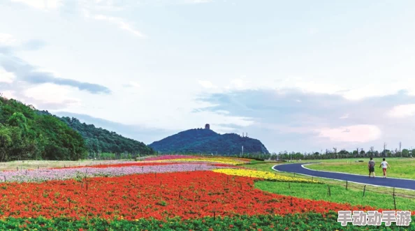 特黄极一清二楚随便看：最新动态揭示了更多关于该事件的深层次信息与影响，值得关注与思考