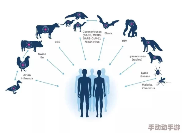 人马畜禽共性关系的重要性及其对生态平衡与可持续发展的影响研究
