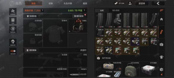 暗区突围游戏中仓库满了应该如何有效管理和清理