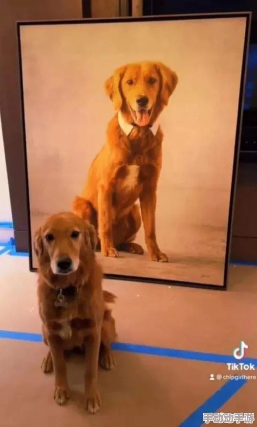 探讨野狗子游戏的硬件配置需求：是否属于高要求标准？