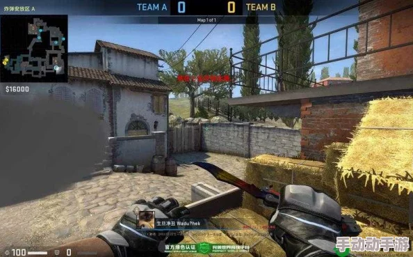 csgo高清在线观看免费版中文：畅享极致游戏体验，感受战斗的热血与激情！