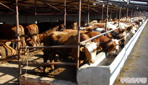 怀孕牧场1.1.0下载震撼上线，超多新玩法等你来体验，快来加入这场奇妙的冒险吧！