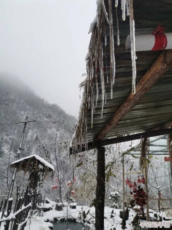 小雪：冬季的第一场雪悄然降临，带来银装素裹的美丽景象与温暖人心的节日气氛