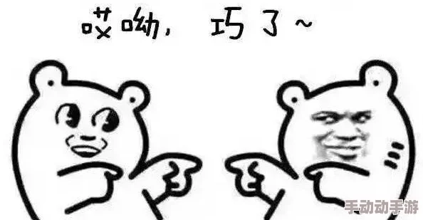 DNF110级版本哪些手套最适合职业发展与属性提升？