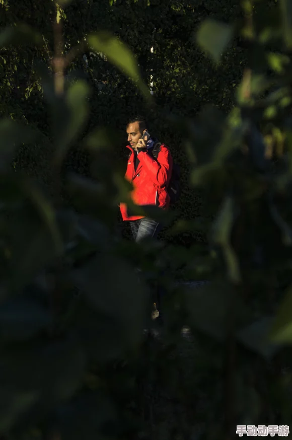 女女肉文小说：最新动态与热门作品推荐，带你领略多样化的情感世界与精彩故事