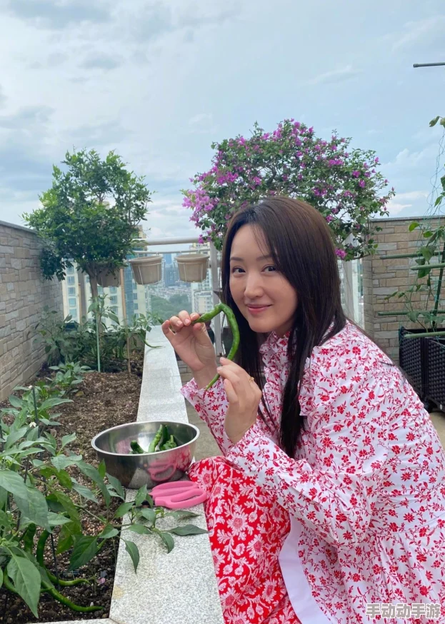 怎么紧致小花园：提升空间利用率与美观度的实用技巧与创意设计方案分享