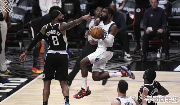 在线观看免费观看在线NBA：最新赛季精彩回顾与直播平台推荐，尽享篮球盛宴！