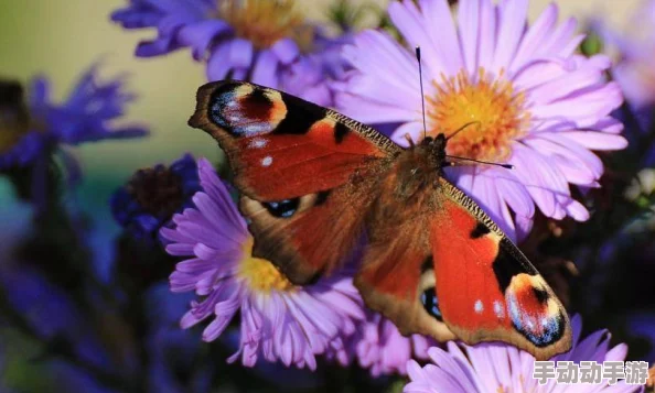 欧美做真爱免费无遮挡:最新动态揭示了该平台用户增长迅速,内容更新频繁,吸引了大量新用户的关注与参与 欧美做真爱免费无遮挡:最新动态揭示了该平台用户增长迅速,内容更新频繁,吸引了大量新用户的关注与参与