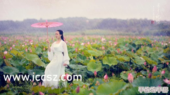 成品网站w灬源码三叶草：最新动态发布，功能优化与用户体验提升引发广泛关注与讨论