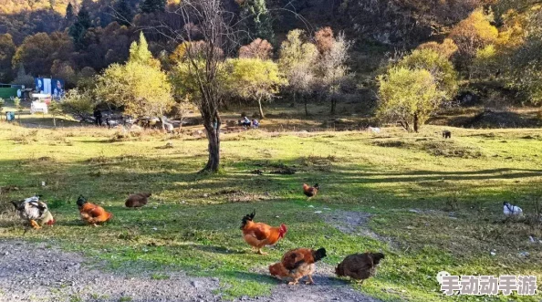 探寻《黑神话：悟空》龙胆种子获取地点，解锁龙胆种子获得方式全攻略