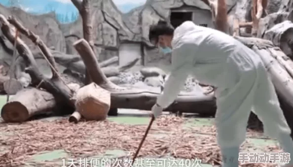 黄色绿像一级片,网友纷纷表示这部作品在视觉效果上颇具冲击力,但剧情深度和角色塑造仍有待提升 黄色绿像一级片,网友纷纷表示这部作品在视觉效果上颇具冲击力,但剧情深度和角色塑造仍有待提升