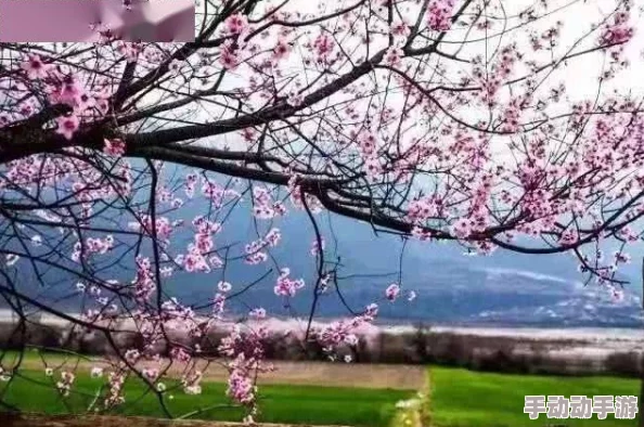 情窦初开含苞待放，青春岁月中的爱恋悄然绽放，心灵深处的感动与期待交织成美好回忆