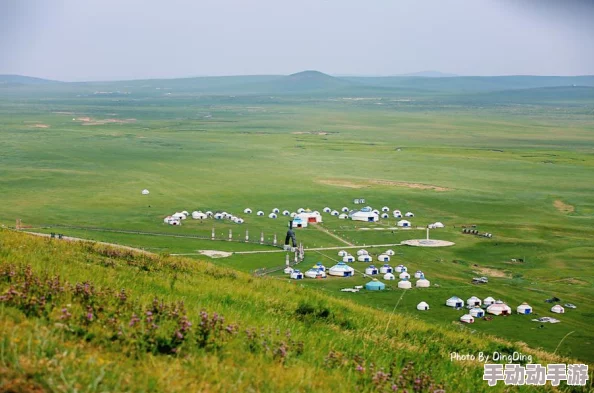 深入解析：无尽梦回中荒漠之梦技能的独特魅力与运用技巧