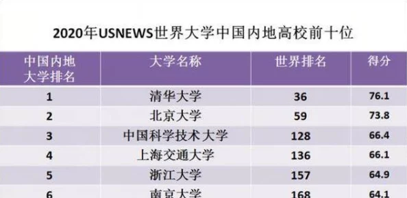 亚va芒果乱码一二三四区别：深入解析不同版本的特点与使用体验
