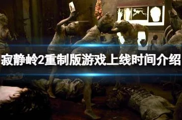 《寂静岭2重制版》游戏攻略：林边公寓内收集品位置详细介绍