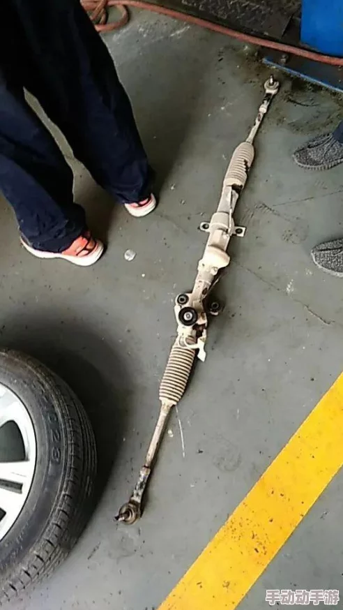 91金先生视频：最新动态揭示其在金融领域的影响力与发展趋势，引发广泛关注与讨论