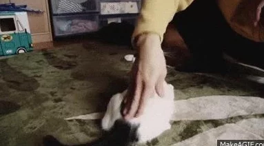 男人舔女人下身视频引发热议，网友讨论道德与法律界限，相关平台已开始加强内容审核措施