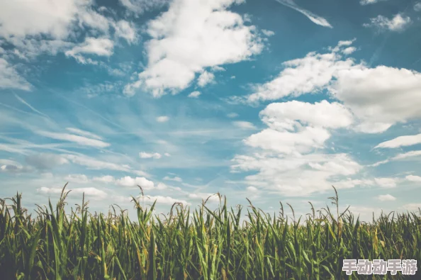 2024年治愈系唯美画面游戏推荐及下载分享，放松心情的绝佳选择