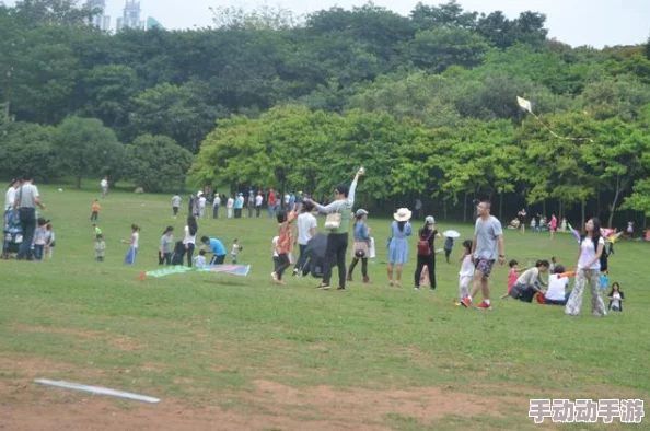 公交车猛烈进出婷婷老师，事件引发广泛关注，相关部门已介入调查并发布初步处理意见