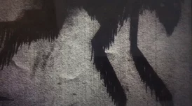 一级毛片区＂惊现神秘生物，科学家称其可能颠覆我们对生命起源的理解，引发全球关注与热议！