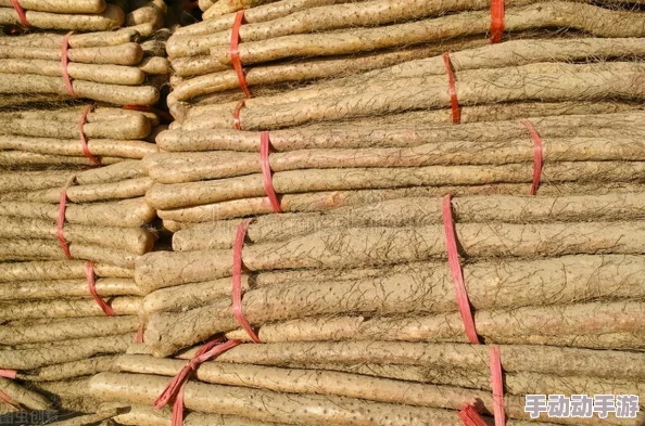 全面掌握王国两位君主中战马技能的精准释放方法与技巧 全面掌握王国两位君主中战马技能的精准释放方法与技巧