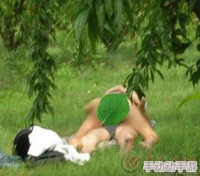 野战好大好紧好爽快点老，近日网络热议此话题，引发众多网友分享各自的看法与体验，讨论气氛火热