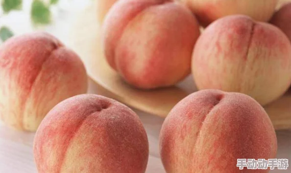 水蜜桃久久：网友纷纷表示这款水蜜桃口感鲜美，甜度适中，是夏季消暑的绝佳选择，值得一试！