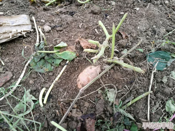 美女扒开尿孔全身100%裸露，惊艳瞬间引发热议，网友纷纷点赞评论！