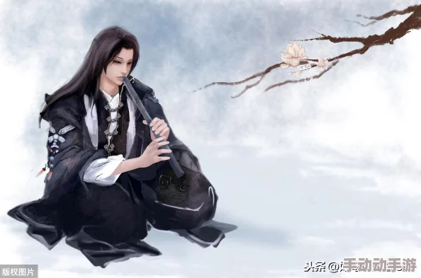 武侠大明星游戏攻略：平民玩家初期最强阵容推荐与搭配组合