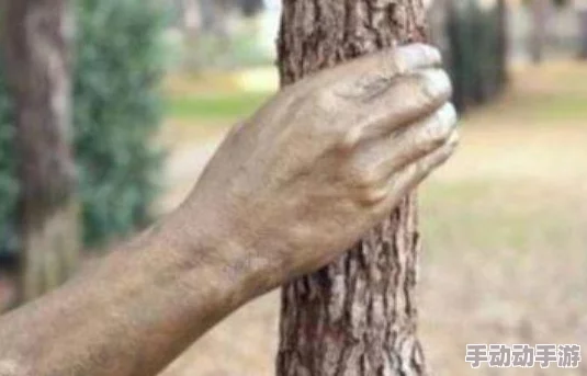 美女喷水网站最新进展：新功能上线，用户体验大幅提升，吸引更多关注与参与