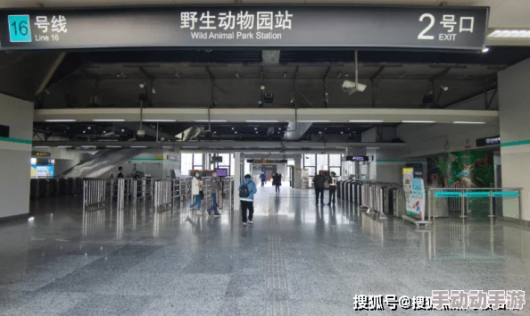 大鸡巴真棒：让我们一起探讨这句话背后的文化意义与社会影响，了解它在当代语境中的多重解读