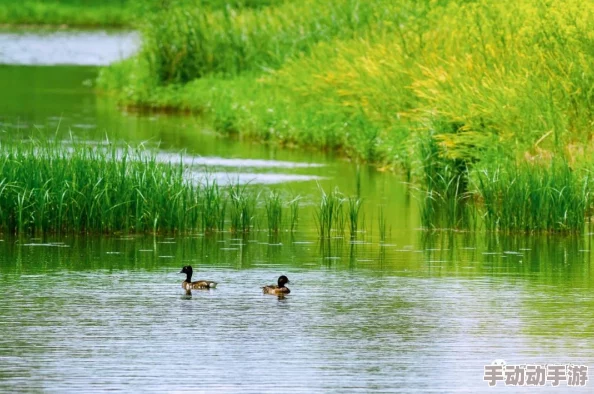 他看向他们的结合处，感受到那种微妙的张力与和谐，仿佛时间在这一刻凝固了