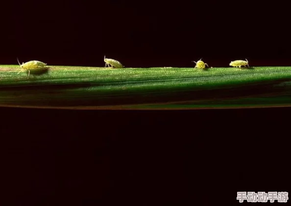 嫩草：惊现神秘植物，科学家称其可能颠覆传统农业，未来粮食安全或将迎来新曙光！