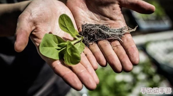 嫩草：惊现神秘植物，科学家称其可能颠覆传统农业，未来粮食安全或将迎来新曙光！