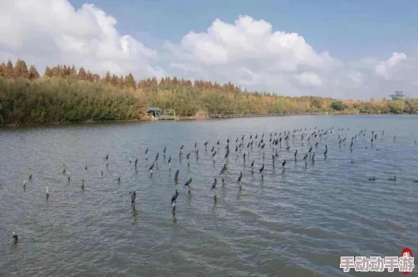 自在西游圣界阵容搭配攻略:精选推荐及高效组合策略解析 自在西游圣界阵容搭配攻略:精选推荐及高效组合策略解析