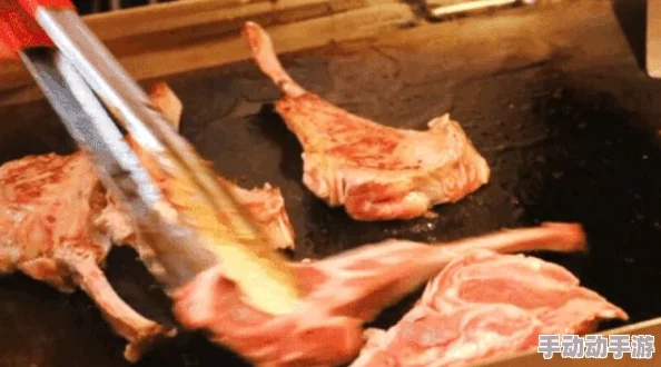详细解析：创造与魔法游戏中黑椒羊排的制作方法与步骤介绍