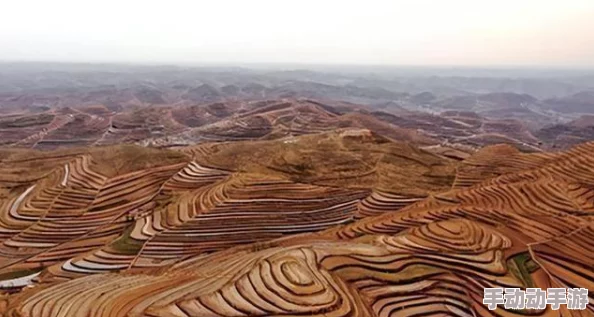 国产绿意盎然：推动可持续发展，助力生态文明建设新进展与新机遇