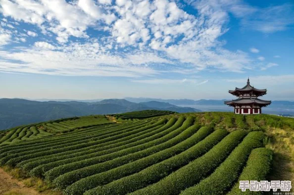 欧美人与动物关系的最新动态:关注人类与野生动物共存的新挑战与机遇 欧美人与动物关系的最新动态:关注人类与野生动物共存的新挑战与机遇