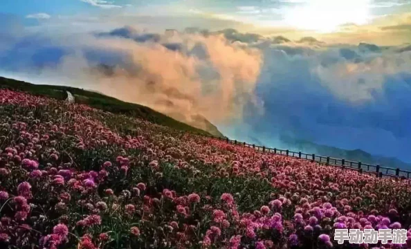 91吃瓜网回家的路：一路风景如画，带你领略不一样的归途体验与感悟