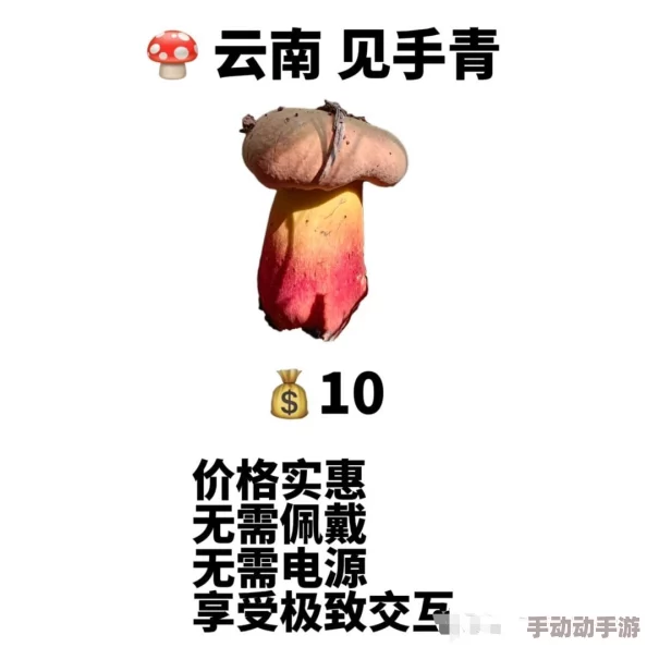 国精产品无人区一码二码三蘑菇引发热议，消费者狂购背后隐藏惊人真相！