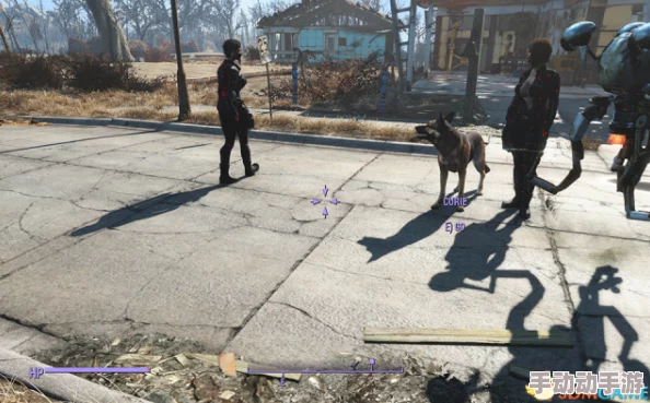 辐射4游戏中哪个同伴最适合你的探险旅程与战斗策略