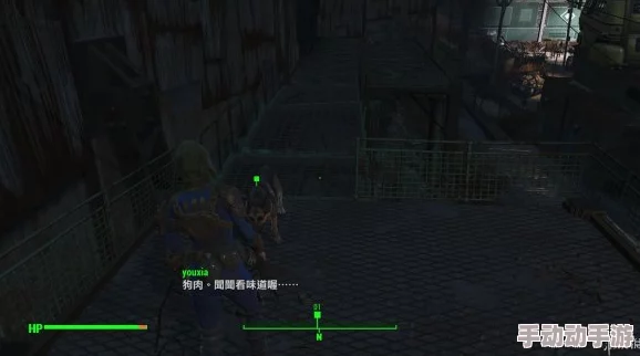 辐射4游戏中哪个同伴最适合你的探险旅程与战斗策略